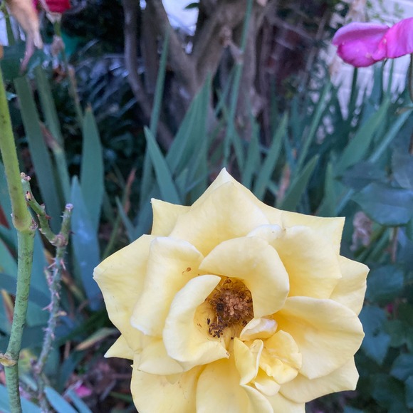 Meet your Posher, Matthew - Picture 1 of 1